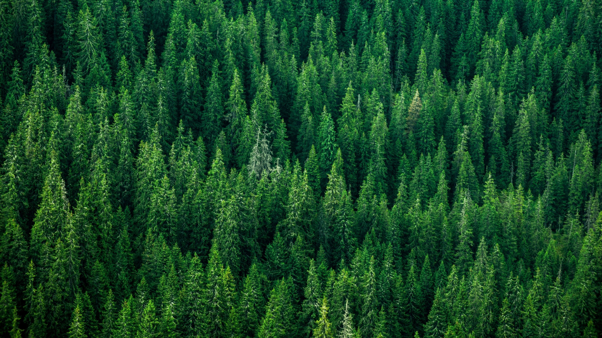 私たちについて